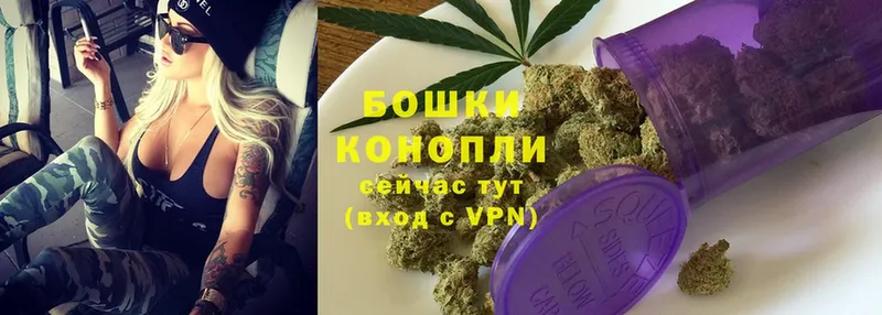 MEGA онион  хочу наркоту  Камызяк  Бошки марихуана VHQ 